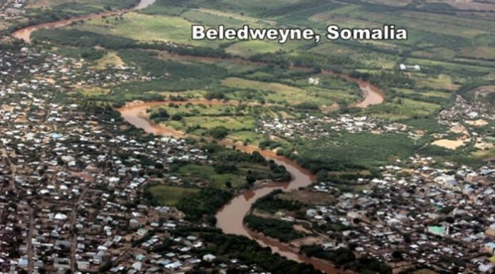 Haween ku nool Baladweyne Oo noloshooda ka maareeya iibinta Jalaatada.