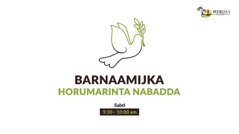 Barnamijka Horumarinta Nabadda iyo maamul Radio Beerlula