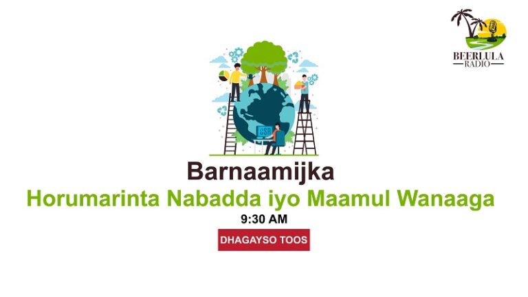 Barnamijka Horumarinta Nabada iyo maamul wanaaga ee Radio Beerlula