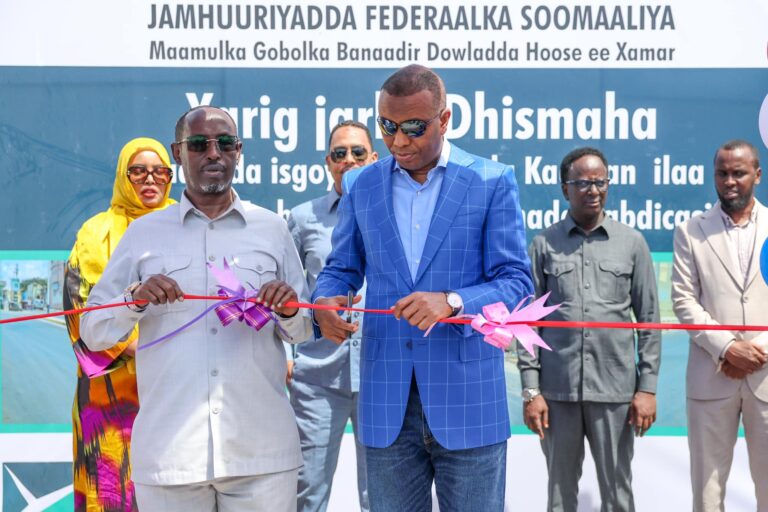 Mashaariic laga hirgeliyay Muqdisho oo xariga laga jaray.