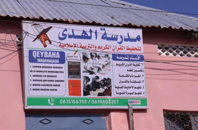 IMG-20241117-WA0000(1)