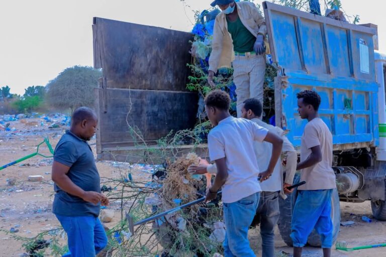 Olole lagu ciribtirayo geedka garan waaga oo laga bilaabay magaalada Boosaaso.