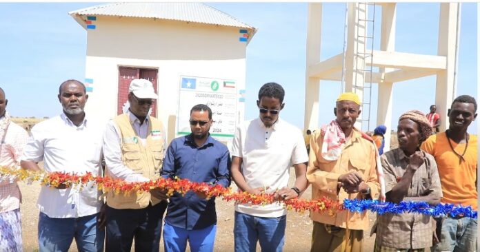 WhatsApp Image 2025-01-19 at 10.24.34 PM