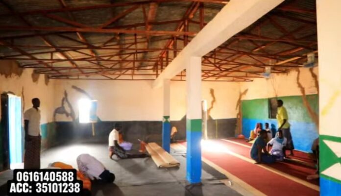 WhatsApp Image 2025-01-27 at 9.20.40 AM