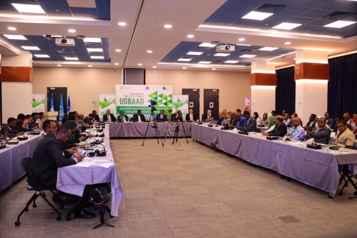 477034746_923614166601080_9060469245651463707_n