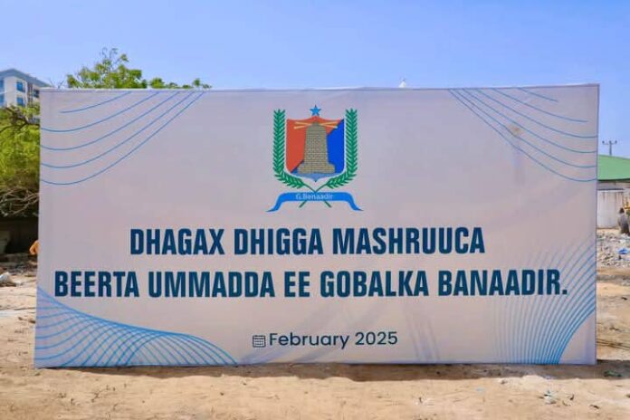 8f89206a-fadb-4d06-9161-68643b355375