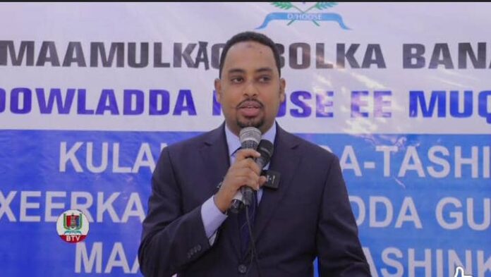 WhatsApp Image 2025-02-02 at 15.35.46