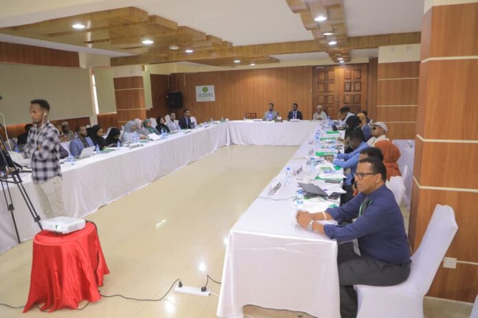 WhatsApp Image 2025-02-03 at 4.24.24 PM