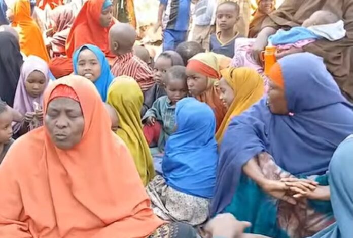 WhatsApp Image 2025-02-03 at 7.21.59 PM