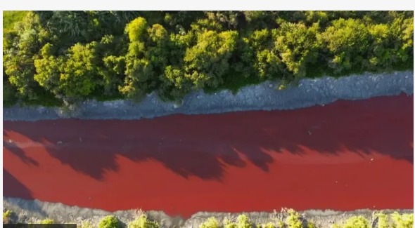 WhatsApp Image 2025-02-07 at 7.21.08 PM (1)