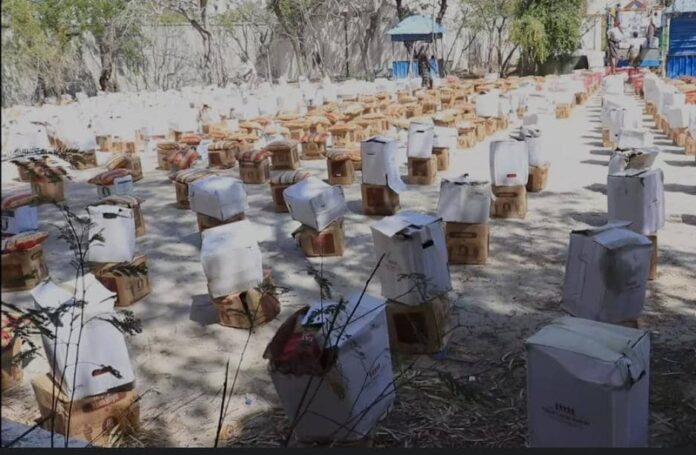 WhatsApp Image 2025-02-08 at 5.43.11 PM