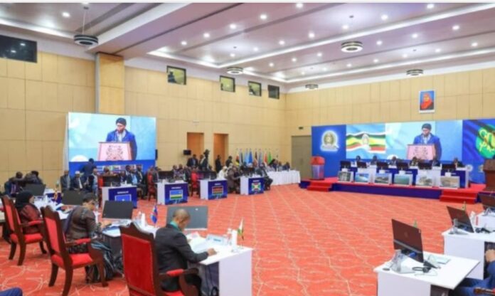 WhatsApp Image 2025-02-08 at 7.40.03 PM