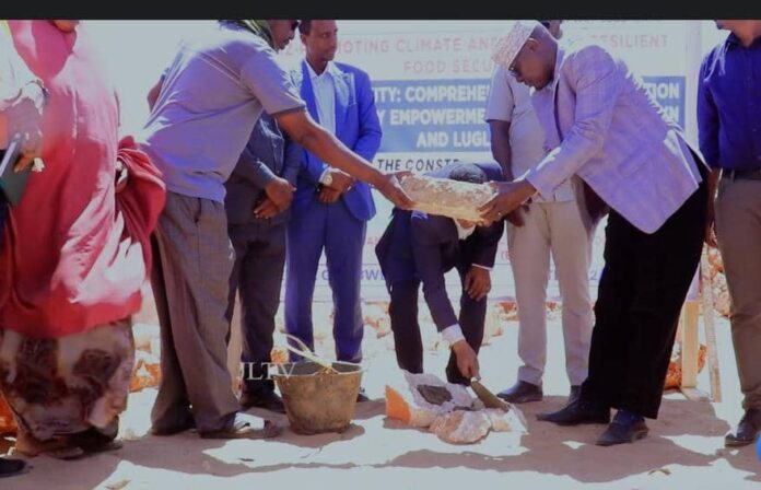 WhatsApp Image 2025-02-10 at 4.57.18 PM