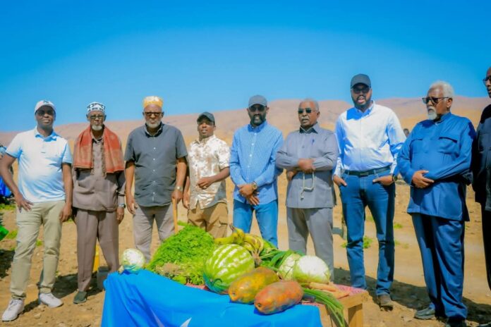 WhatsApp Image 2025-02-10 at 8.39.44 AM