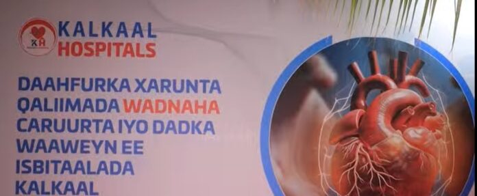 WhatsApp Image 2025-02-14 at 3.04.00 PM