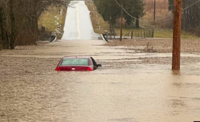 WhatsApp Image 2025-02-17 at 6.13.31 PM