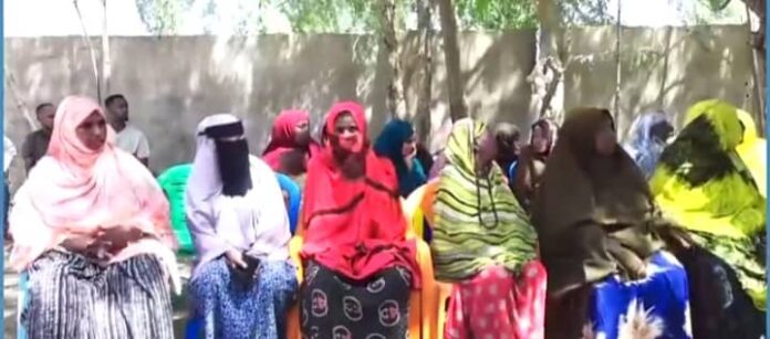 WhatsApp Image 2025-02-19 at 3.12.30 PM