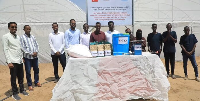 WhatsApp Image 2025-02-19 at 5.57.17 PM