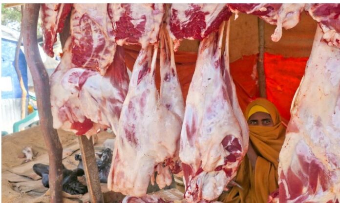 WhatsApp Image 2025-02-19 at 7.39.26 PM