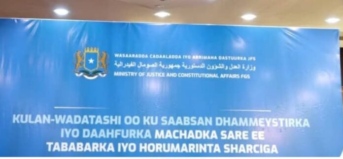 WhatsApp Image 2025-02-21 at 8.19.23 AM