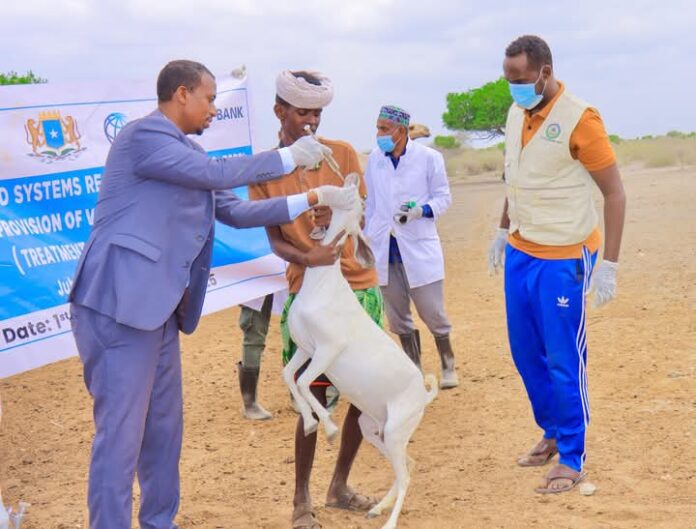 WhatsApp Image 2025-02-24 at 3.28.03 PM (1)