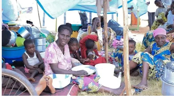 WhatsApp Image 2025-02-24 at 7.16.38 PM