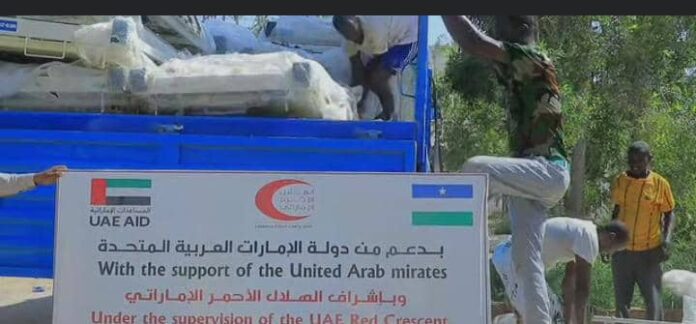 e415c396-fc00-4ff9-9c3d-de2fcacdaab3 (1)