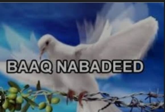 fb1d7744-8223-4b96-9d68-1c8188474906 (1)