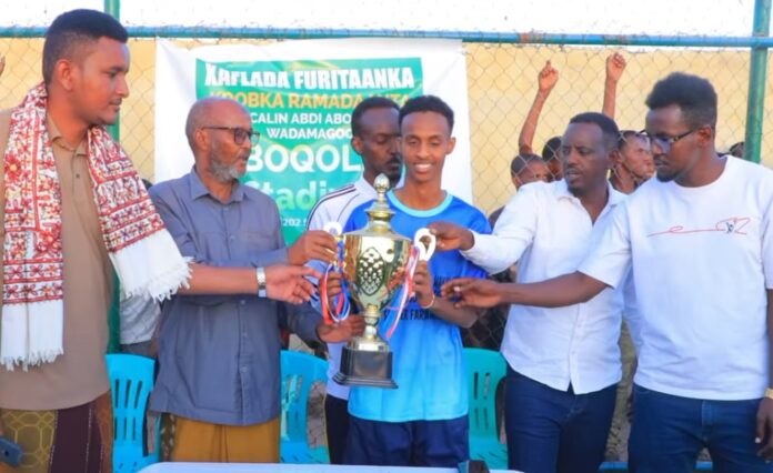 24d8852a-430a-4b5a-8de4-42a4d58eeb62