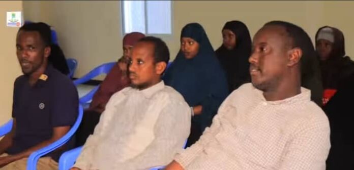 47e33714-887e-4dee-80f5-c1a6f3283df9