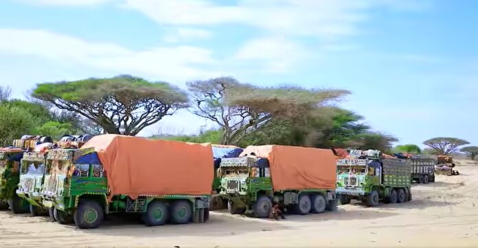 WhatsApp Image 2025-03-07 at 3.43.01 PM