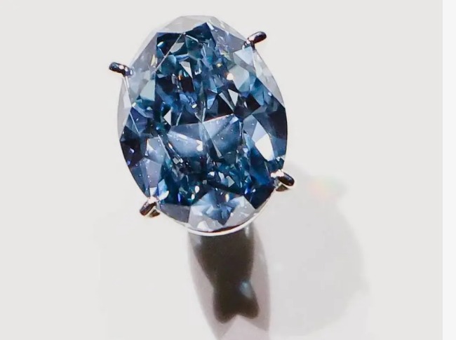 WhatsApp Image 2025-03-07 at 9.00.53 AM