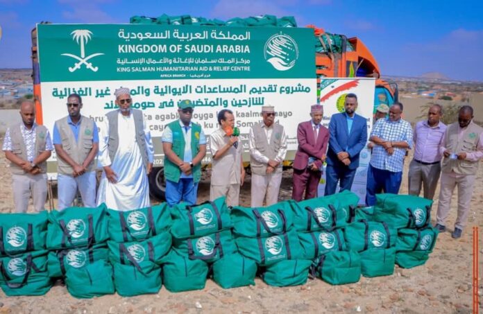 WhatsApp Image 2025-03-08 at 6.08.00 PM (1)