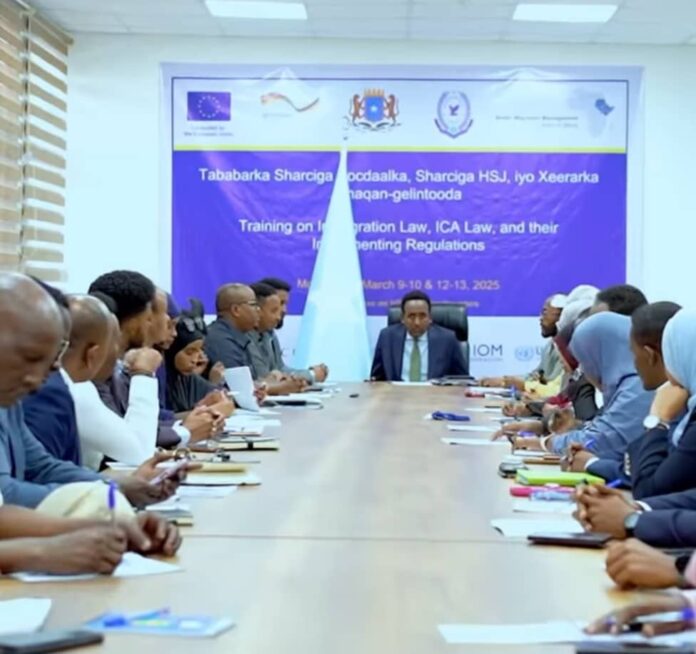 WhatsApp Image 2025-03-09 at 7.16.33 PM