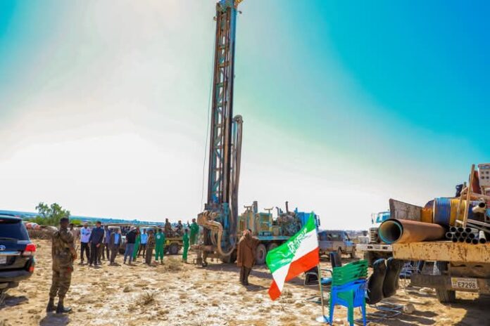 WhatsApp Image 2025-03-10 at 1.04.42 PM