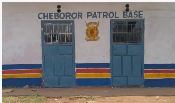 WhatsApp Image 2025-03-10 at 5.45.20 PM