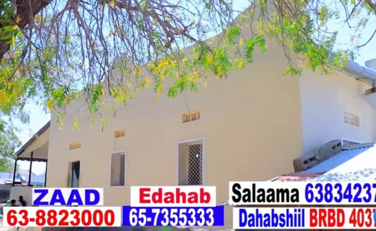 Gudiga gacanta ku haaya Dhismaha Masjidka Abdaal ee Gobalka Saaxil oo codsaday in laga qayb qaato dhismihiisa.
