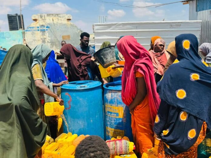 WhatsApp Image 2025-03-21 at 7.00.15 PM