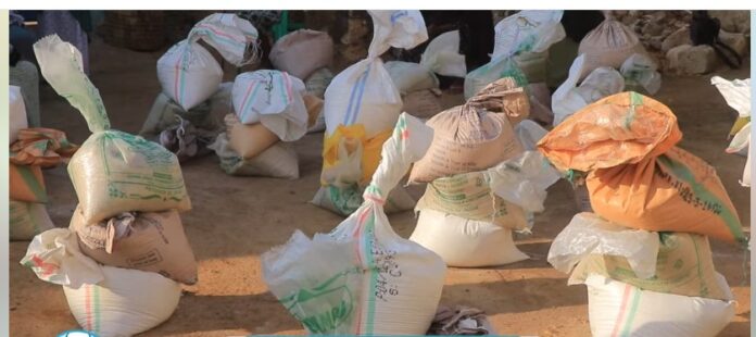 WhatsApp Image 2025-03-21 at 8.06.22 AM