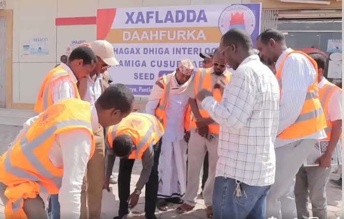 WhatsApp Image 2025-03-21 at 8.10.05 AM