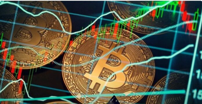 WhatsApp Image 2025-03-21 at 8.15.39 AM