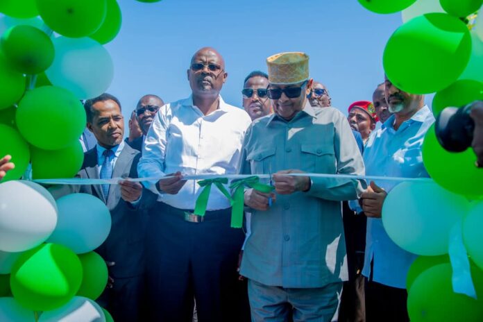 WhatsApp Image 2025-03-22 at 4.42.58 PM