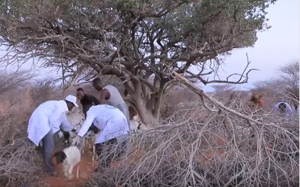 WhatsApp Image 2025-03-23 at 9.14.54 AM