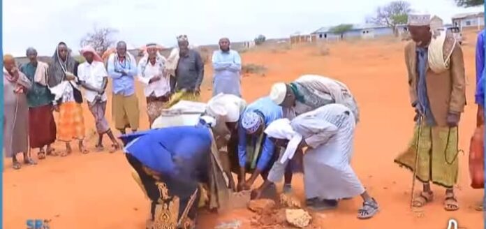 WhatsApp Image 2025-03-24 at 1.34.24 PM