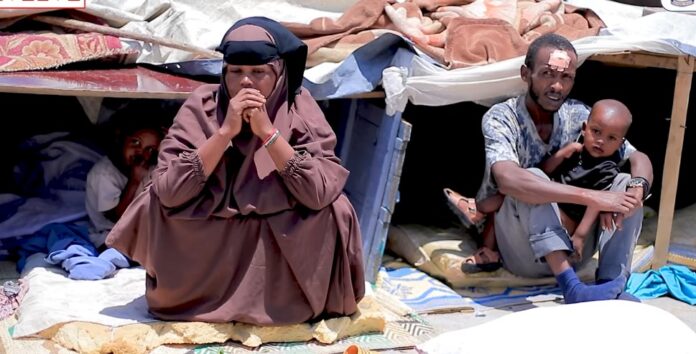 WhatsApp Image 2025-03-24 at 5.45.43 PM