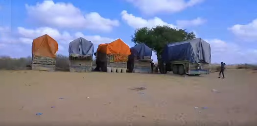 e865e9ee-8239-496d-a80a-af30745b2373