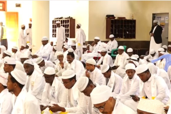 03233cde-2458-4750-8240-d81c7ab20387