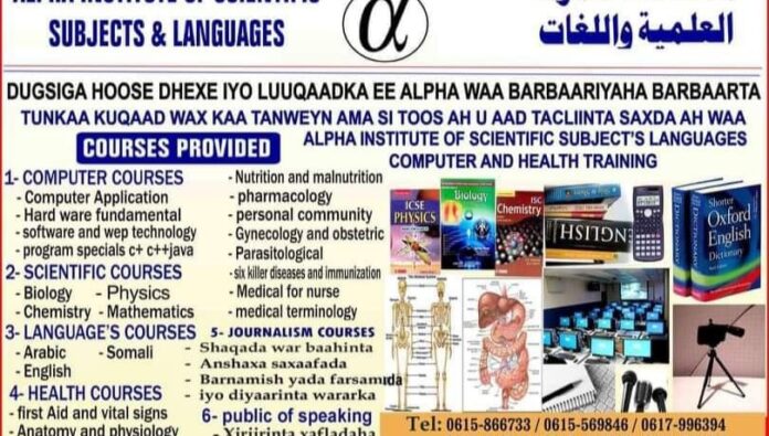 Dhalinyaro fursado shaqo ka helay Iskuulka Alpha ee Baladweyne