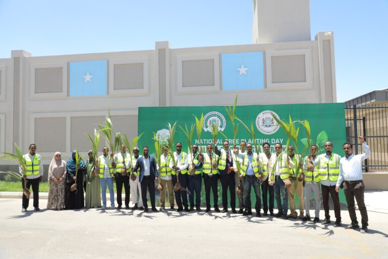 Olole dhir beeris ah oo lagu xusayo maalinta dhirta beerista qaranka oo laga sameeyay Muqdisho.