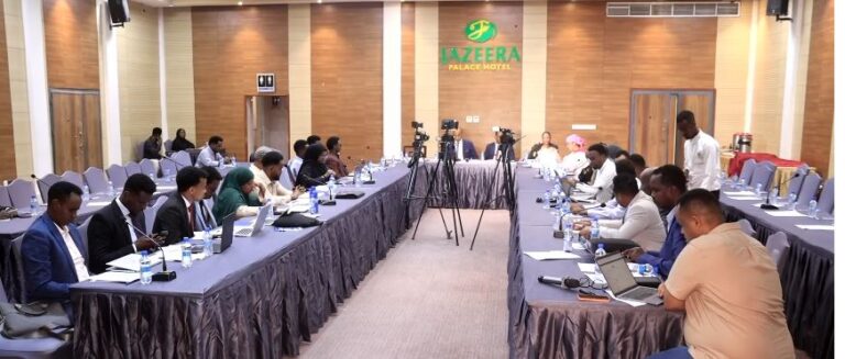 Tababar  lagu horumarinayo maamul-wanaagga  oo lagu qabtay Muqdisho.